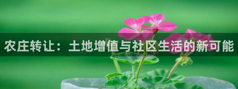 澳门电子pg下载网站