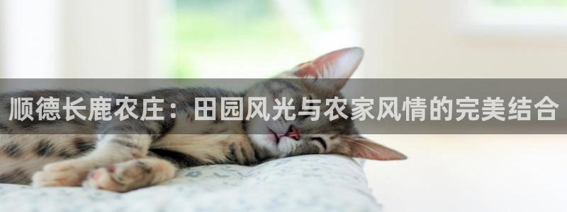 pg电子APP下载首页