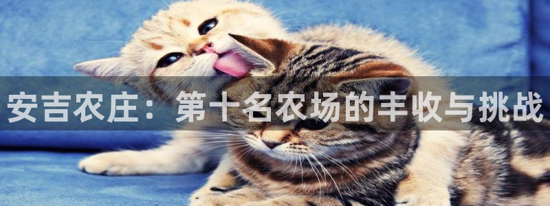 pg电子坑人