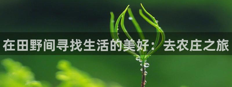 pg电子好他么假