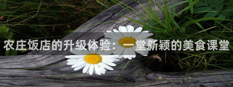 网赌电子pg