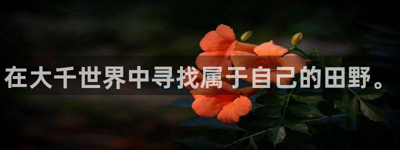 pg电子玩什么