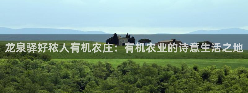 pg电子棋牌爆发视频