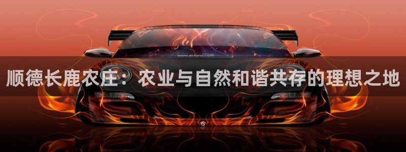 PG电子反水怎么算