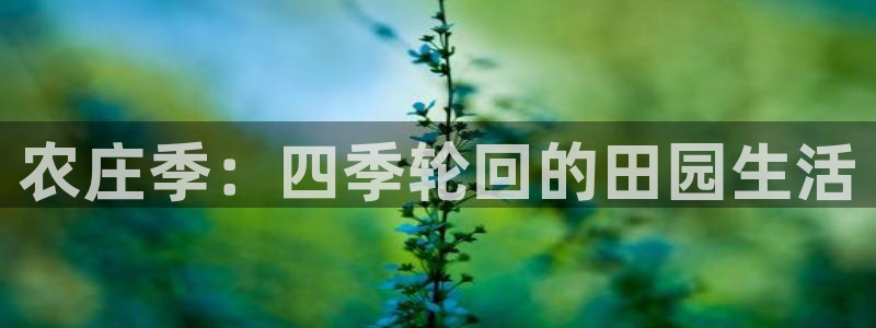 pg电子怎么天天输