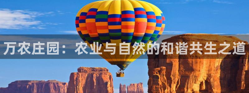 pg电子视频专区