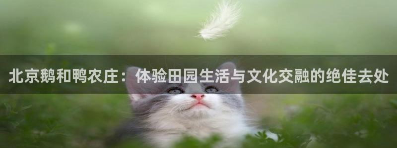 pg电子一直吃分