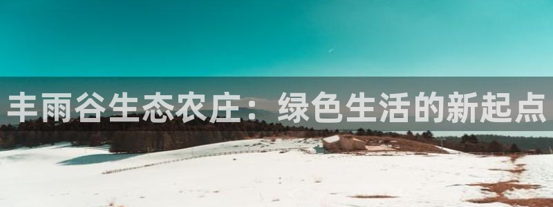 电子pg麻将2
