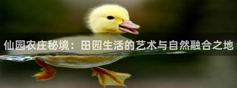 pg电子双喜临门爆分