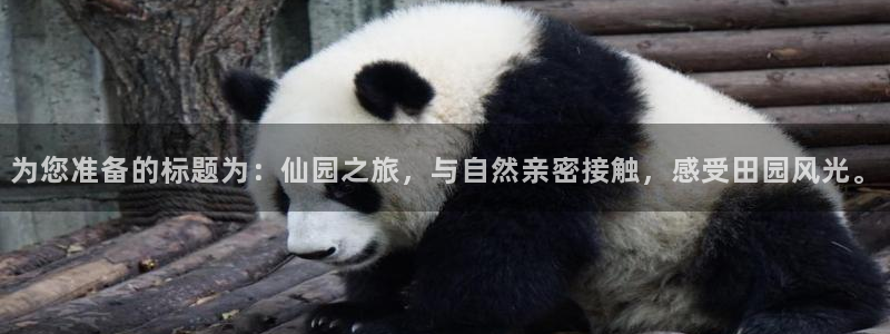 pg电子游戏寻宝黄金城