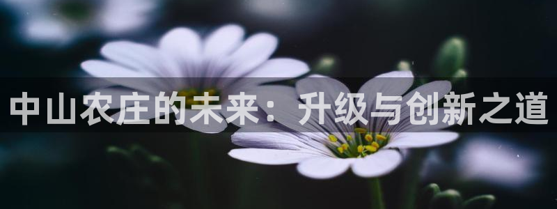 pg电子爆分技巧