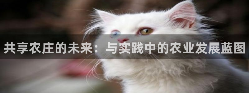 pg电子麻将胡了打法