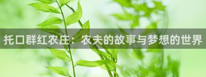 pg电子要怎样容易中奖