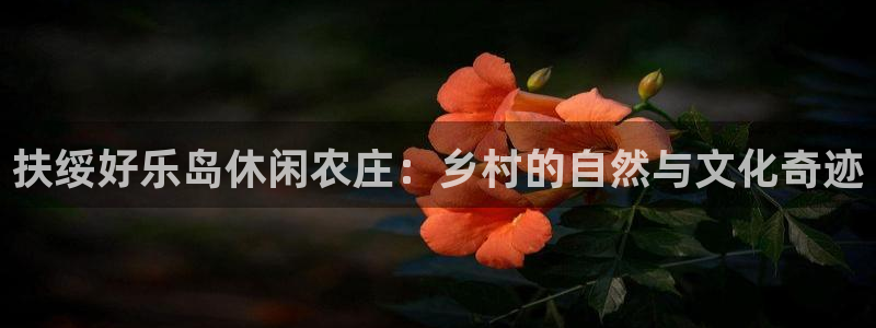 pg电子注册官网