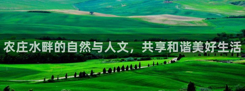 pg电子天天输怎么玩