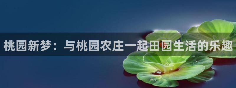 pg电子模拟器