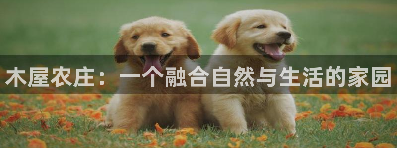 PG电子官网訫98db