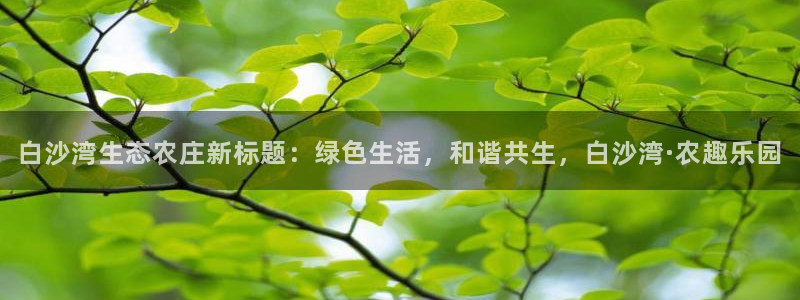 pg电子游艺凤凰传奇