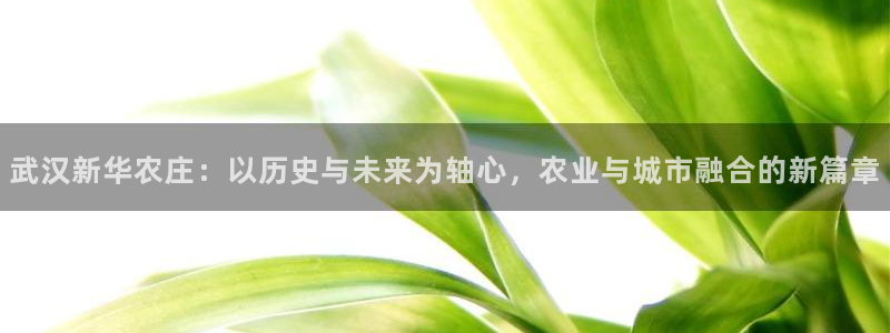 pg电子斗鸡