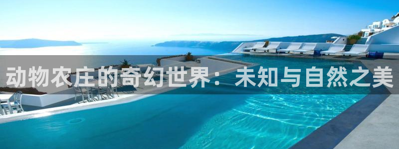 pg电子夺宝城