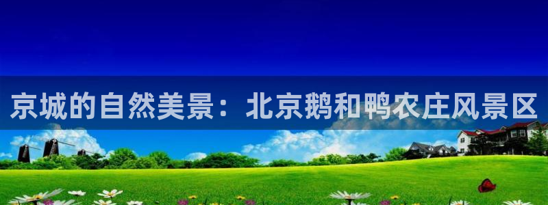 pg电子夺宝试玩网站