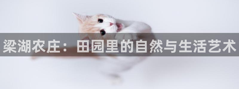 pg电子游艺风控应对