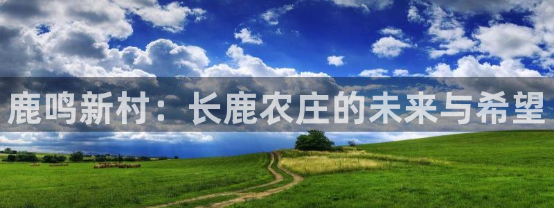 pg电子免费游戏爆分