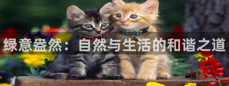 PG电子为什么这么坑