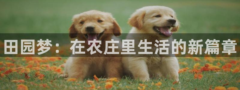 Pg电子不限区域平台