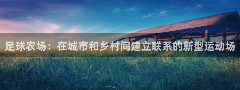 电子pg100 100