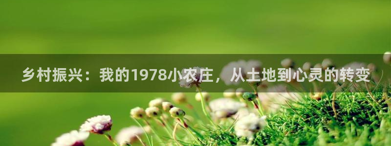 pg电子游戏爆分平台