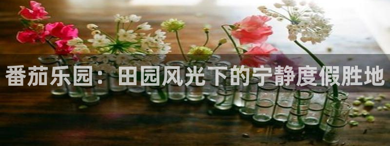 pg电子平台bob