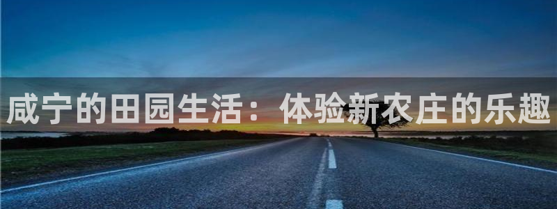 网上电子pg维护中