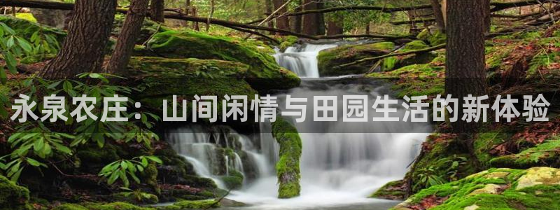 pg电子棋牌源码