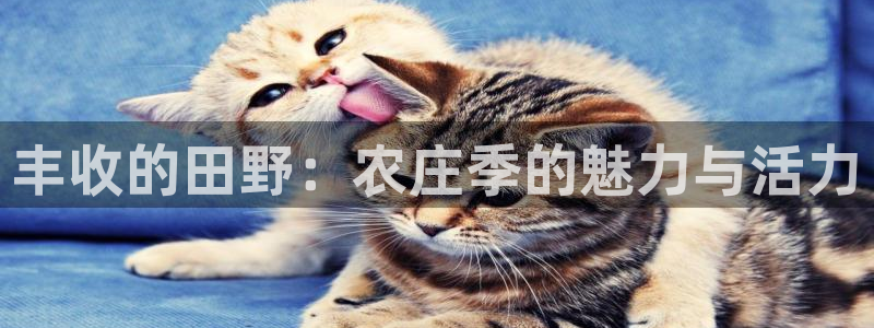 pg电子游戏寻龙夺宝