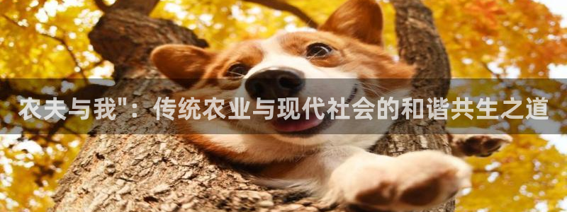 pg电子是局域网的吗