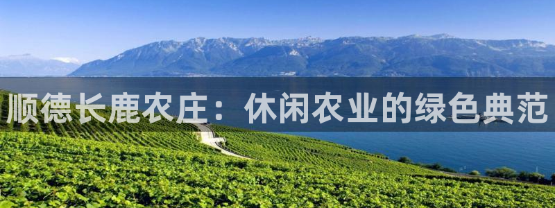 pg电子游戏试玩网址