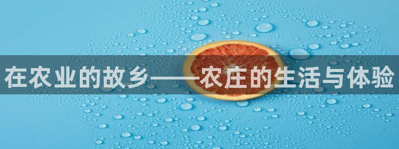 pg电子技巧攻略