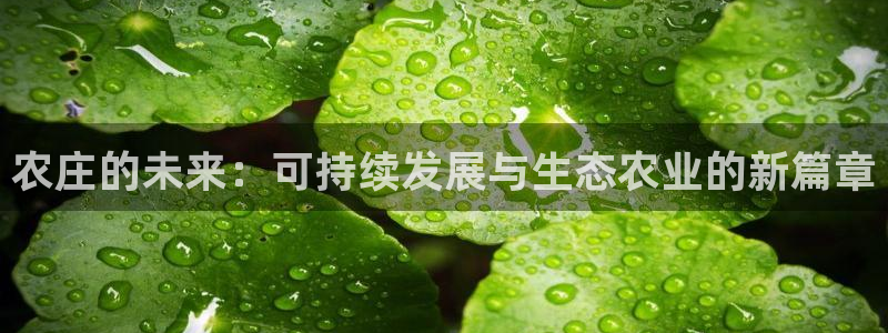 pg电子爆大奖图片