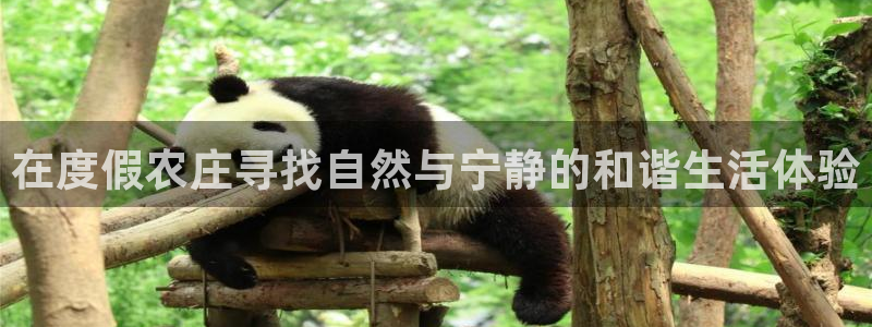 pg电子注册就送的网站