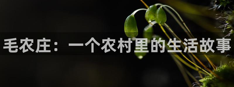 pg电子试玩视频