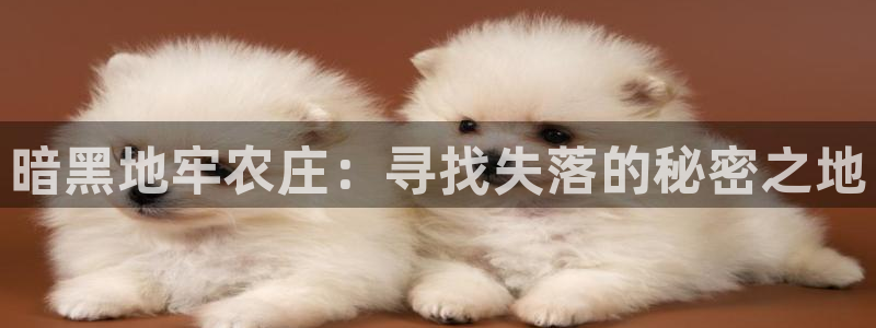 pg电子冰雪大冲关视频