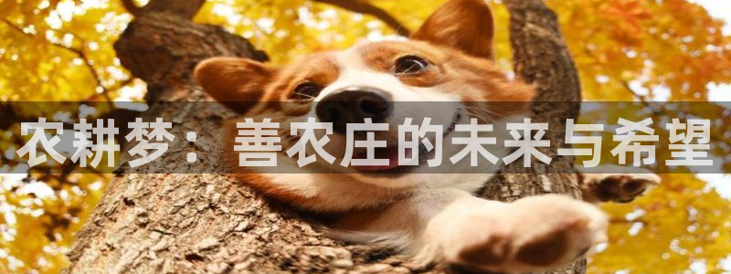 电子pg游戏怎么玩