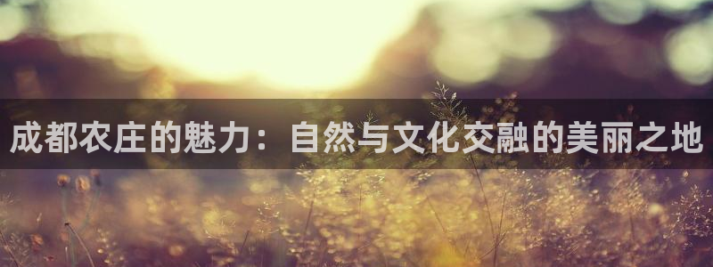 pg电子试玩在线