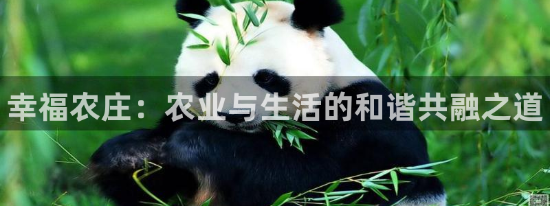 pg电子双喜临门维护