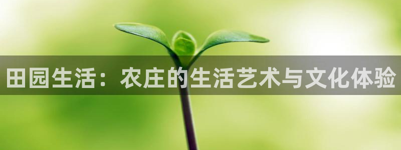 pg电子要怎样容易中奖