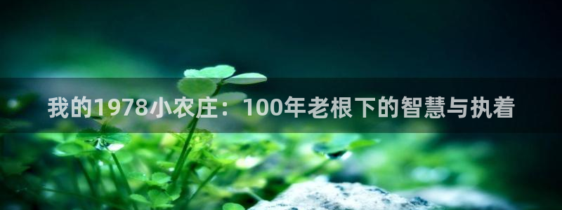 pg电子新平台