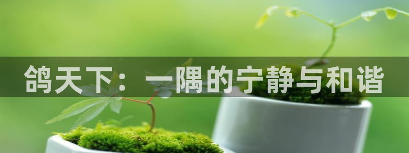 pg福运象财神电子游戏