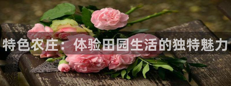 pg电子包赢技术