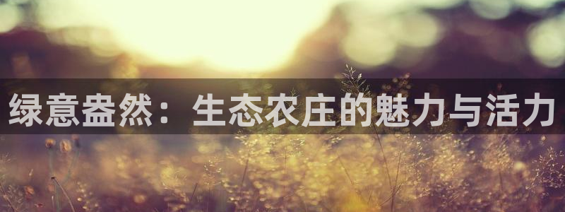 pg电子怎么一直维护